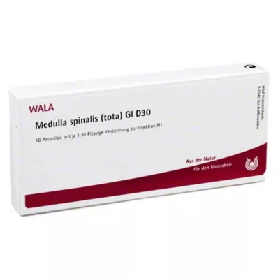 Medulla Spinalis Tota GL D 30 ampulės, 10X1 ml