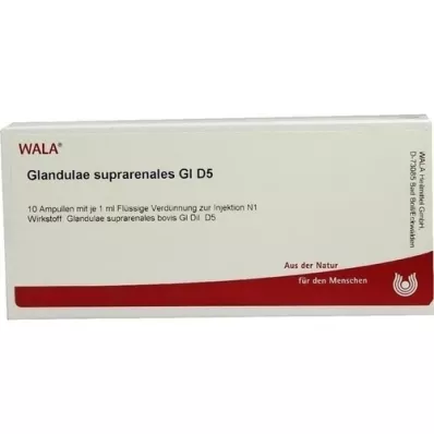 GLANDULAE SUPRARENALES GL D 5 ampulės, 10X1 ml