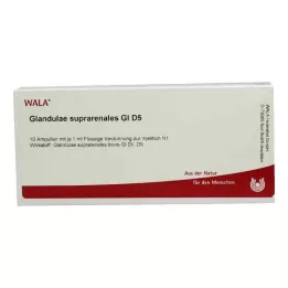 GLANDULAE SUPRARENALES GL D 5 ampulės, 10X1 ml