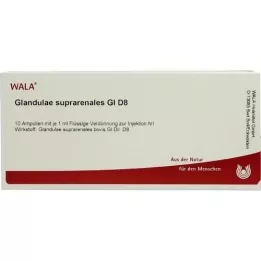 GLANDULAE SUPRARENALES GL D 8 ampulės, 10X1 ml