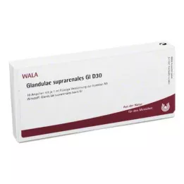 GLANDULAE SUPRARENALES GL D 30 ampulių, 10X1 ml