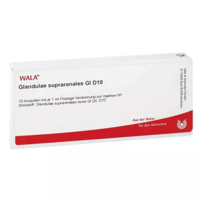 GLANDULAE SUPRARENALES GL D 10 ampulių, 10X1 ml GLANDULAE SUPRARENALES GL D 10 ampulių, 10X1 ml