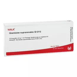 GLANDULAE SUPRARENALES GL D 12 ampulių, 10X1 ml