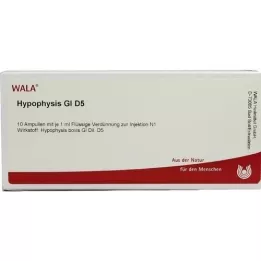 HYPOPHYSIS GL D 5 ampulės, 10X1 ml