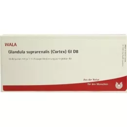 GLANDULA SUPRARENALIS žievė GL D 8 ampulės, 10X1 ml