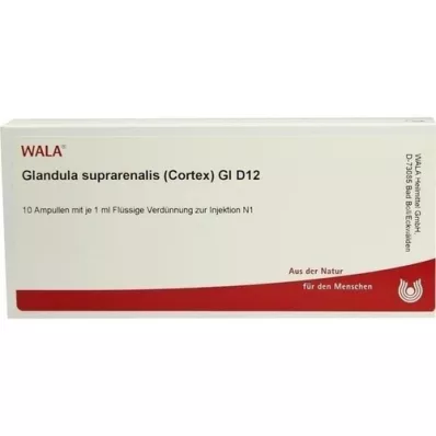 GLANDULA SUPRARENALES žievė GL D 12 ampulių, 10X1 ml