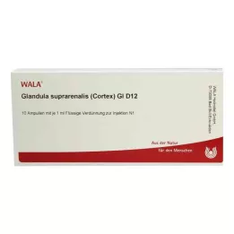 GLANDULA SUPRARENALES žievė GL D 12 ampulių, 10X1 ml