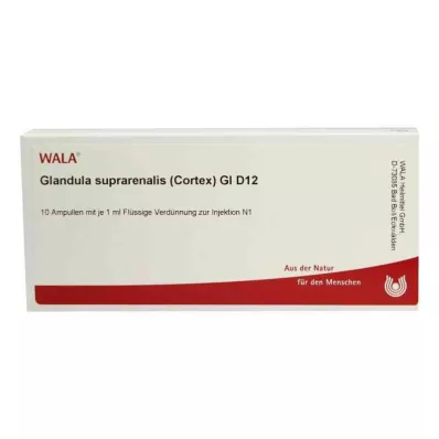Suprarenalinė liauka.Cort.Gl D12 ampulės (10x1 ml) Suprarenalinė liauka.Cort.Gl D12 ampulės (10x1 ml)