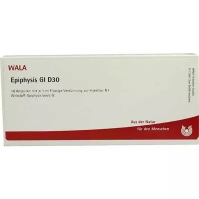 EPIPHYSIS GL D 30 ampulių, 10X1 ml