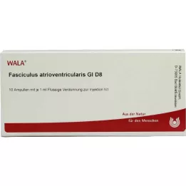 FASCICULUS atrioventricularis GL D 8 ampulės, 10X1 ml