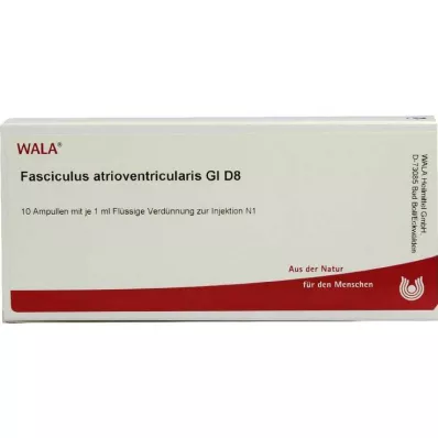 FASCICULUS atrioventricularis GL D 8 ampulės, 10X1 ml FASCICULUS atrioventricularis GL D 8 ampulės, 10X1 ml