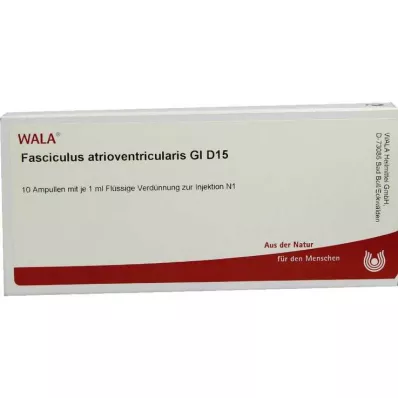 FASCICULUS atrioventricularis GL D 15 ampulių, 10X1 ml FASCICULUS atrioventricularis GL D 15 ampulių, 10X1 ml
