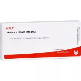 ARNICA E Planta tota D 12 ampulių, 10X1 ml