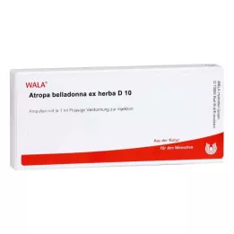 ATROPA Belladonna ex Herba D 10 ampulių, 10X1 ml