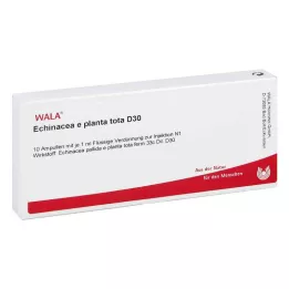 ECHINACEA E planta tota D 30 ampulių, 10X1 ml
