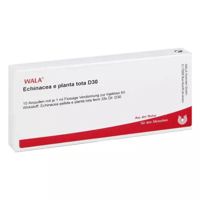 ECHINACEA E planta tota D 30 ampulių, 10X1 ml