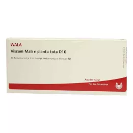 VISCUM MALI e planta tota D 10 ampulių, 10X1 ml