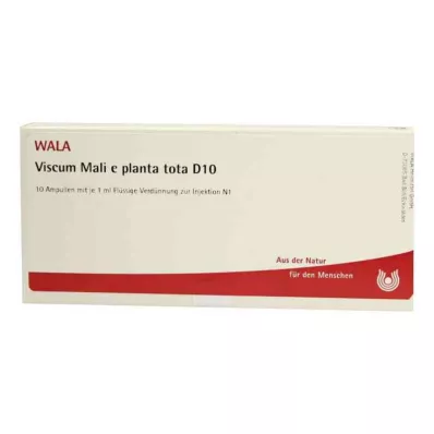 VISCUM MALI e planta tota D 10 ampulių, 10X1 ml VISCUM MALI e planta tota D 10 ampulių, 10X1 ml