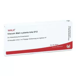 VISCUM MALI e planta tota D 12 ampulių, 10X1 ml