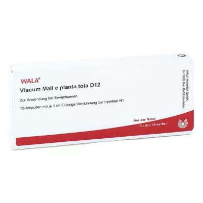 VISCUM MALI e planta tota D 12 ampulių, 10X1 ml VISCUM MALI e planta tota D 12 ampulių, 10X1 ml