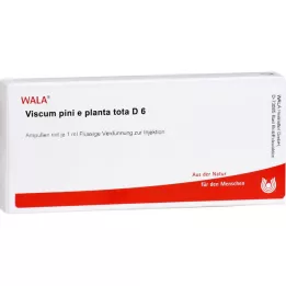 VISCUM PINI e planta tota D 6 ampulės, 10X1 ml