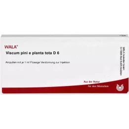 VISCUM PINI e planta tota D 6 ampulės, 10X1 ml