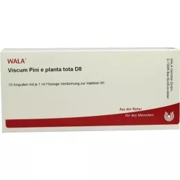 VISCUM PINI e planta tota D 8 ampulės, 10X1 ml