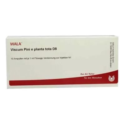 Viscum Pini e planta tota D8 ampulės (10x1 ml)