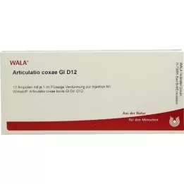 ARTICULATIO Coxae GL D 12 ampulių, 10X1 ml