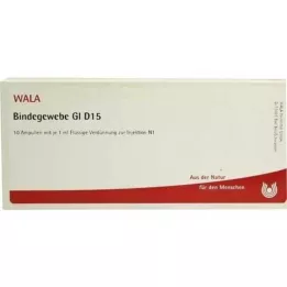 BINDEGEWEBE GL D 15 ampulių, 10X1 ml