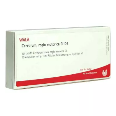 Cerebrum Regio Motor Gl D6 ampulės (10x1 ml)
