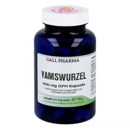 YAMSWURZEL 500 mg GPH kapsulės, 120 kapsulių