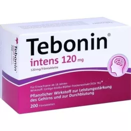 TEBONIN intens 120 mg plėvele dengtos tabletės, 200 vnt