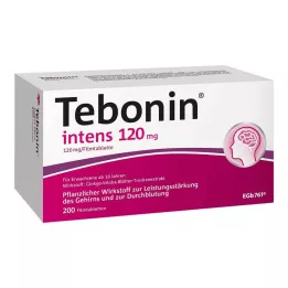 TEBONIN intens 120 mg plėvele dengtos tabletės, 200 vnt