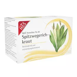 H&S Žibuoklinių gysločių filtravimo maišelis, 20X1,5 g