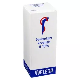 EQUISETUM ARVENSE H 10 % aliejinis linimentas, 50 ml