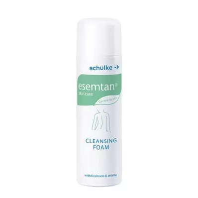 ESEMTAN Valymo ir priežiūros putos, 500 ml
