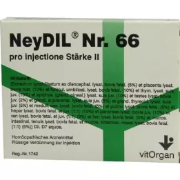 NEYDIL Nr.66 pro injectione St.2 ampulės, 5X2 ml