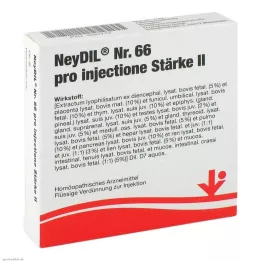 NEYDIL Nr.66 pro injectione St.2 ampulės, 5X2 ml