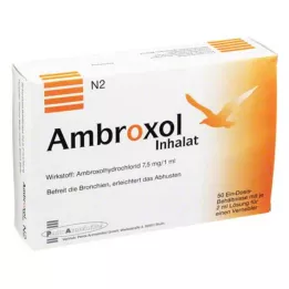 AMBROXOL Inhaliacinis tirpalas inhaliatoriui, 50X2 ml