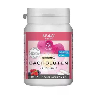 ENERGIE KAUGUMMI Dr. Bacho teigimu, 40 vnt
