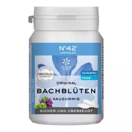 SELBSTVERTRAUEN Kramtomoji guma pagal Dr. Bachą, 40 vnt