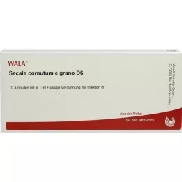 SECALE CORNUTUM E grano D 6 ampulės, 10X1 ml