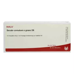 SECALE CORNUTUM E grano D 6 ampulės, 10X1 ml