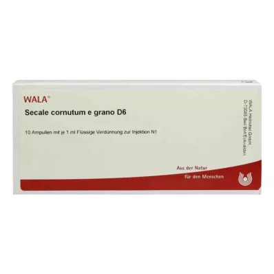 Secale Cornutum E Grano D6 ampulės (10x1 ml)