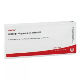 SOLIDAGO VIRGAUREA ex herba D 6 ampulės, 10X1 ml