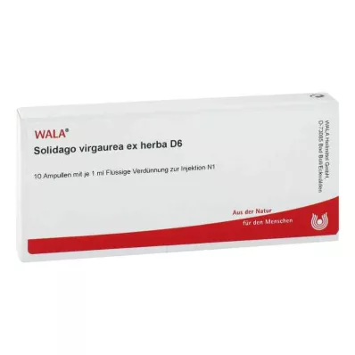 Solidago Virgaurea ex herba D6 ampulės (10x1 ml) Solidago Virgaurea ex herba D6 ampulės (10x1 ml)