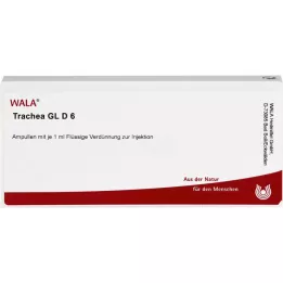 TRACHEA GL D 6 ampulės, 10X1 ml