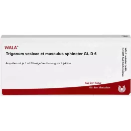 TRIGONUM Vesicae et Musculus sphincter GL D 6 amp, 10X1 ml