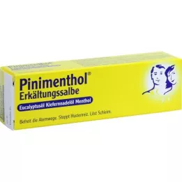 PINIMENTHOL Šaltasis tepalas Eucal/pušis/mentas, 20 g